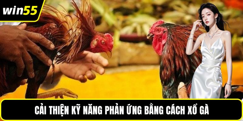 Cải thiện kỹ năng phản ứng bằng cách xổ gà