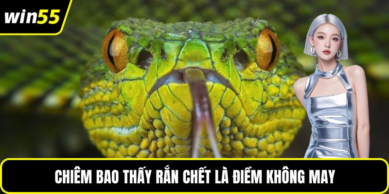 Chiêm bao thấy rắn chết là điềm không may