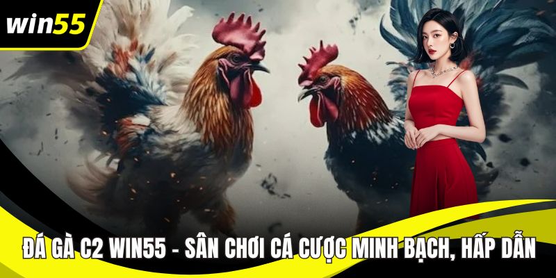 Đá gà C2