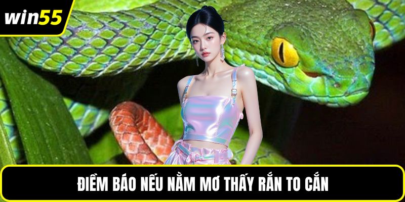Điềm báo nếu nằm mơ thấy rắn to cắn