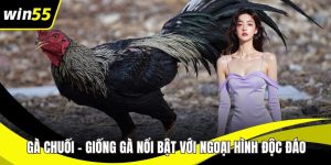 Đá Gà C2 WIN55 – Sân Chơi Cá Cược Minh Bạch, Hấp Dẫn