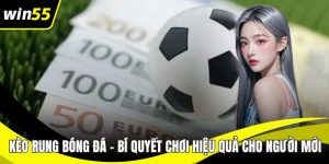 Cá Cược Cầu Lông – Chiến Lược Cho Người Chơi Thông Minh