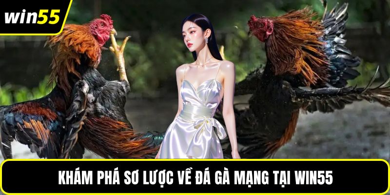 Khám phá sơ lược về đá gà mạng tại WIN55