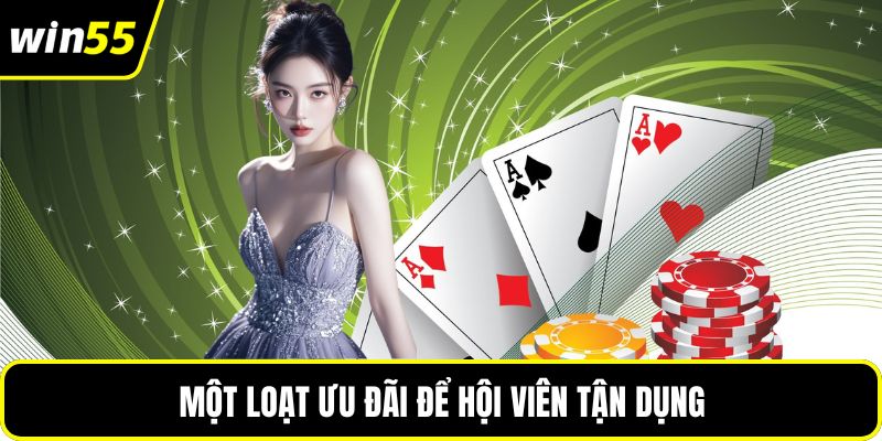 Một loạt ưu đãi để hội viên tận dụng