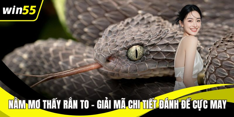 Nằm mơ thấy rắn to