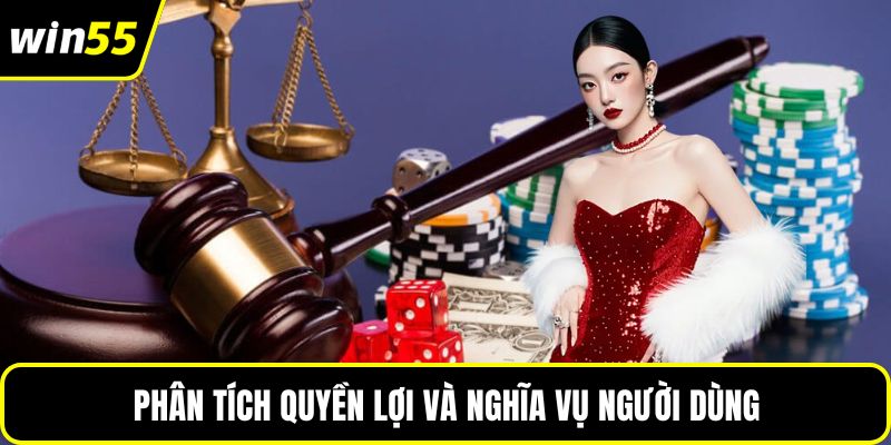 Phân tích quyền lợi và nghĩa vụ người dùng