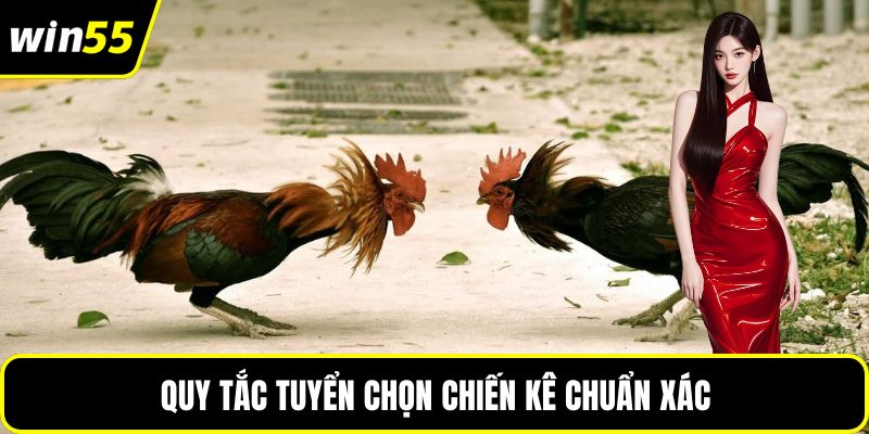 Quy tắc tuyển chọn chiến kê chuẩn xác