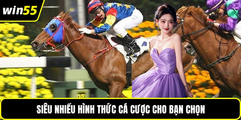 Siêu nhiều hình thức cá cược cho bạn chọn