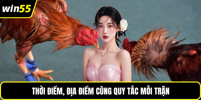 Thời điểm, địa điểm cùng quy tắc mỗi trận