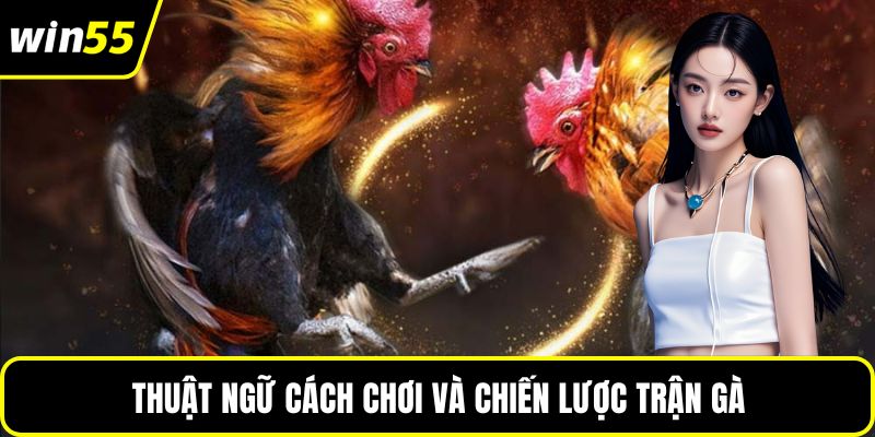 Thuật ngữ cách chơi và chiến lược trận gà