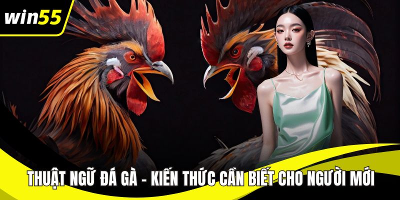 Thuật ngữ đá gà