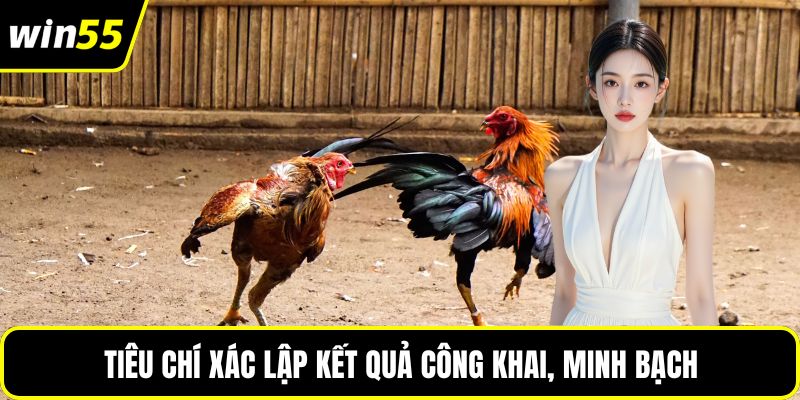 Tiêu chí xác lập kết quả công khai, minh bạch
