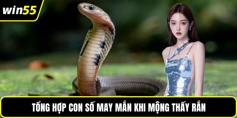 Tổng hợp con số may mắn khi mộng thấy rắn