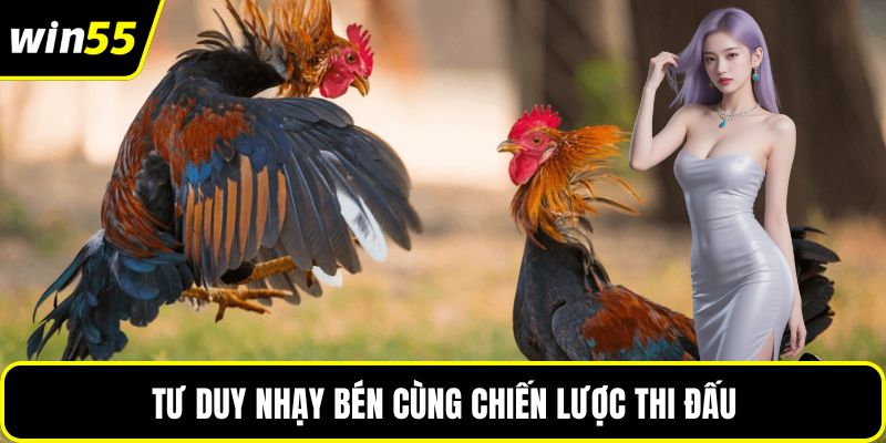 Tư duy nhạy bén cùng chiến lược thi đấu
