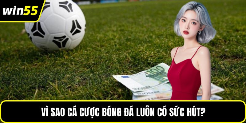 Vì sao cá cược bóng đá luôn có sức hút?